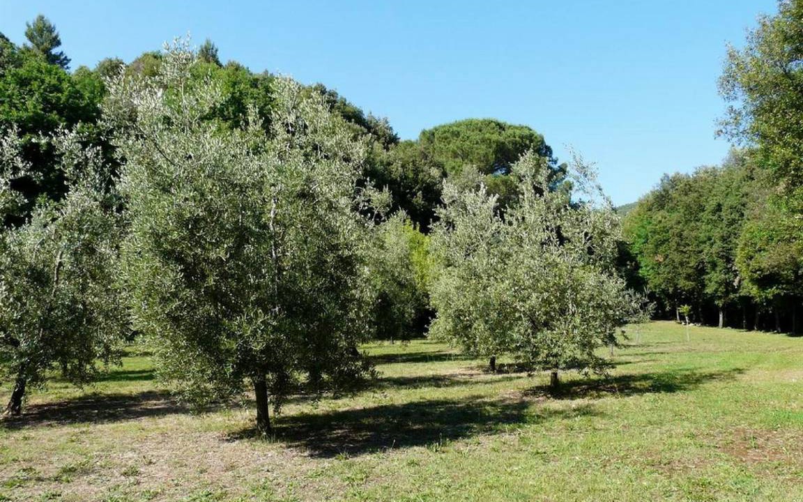 Photo of Others in Pomaia