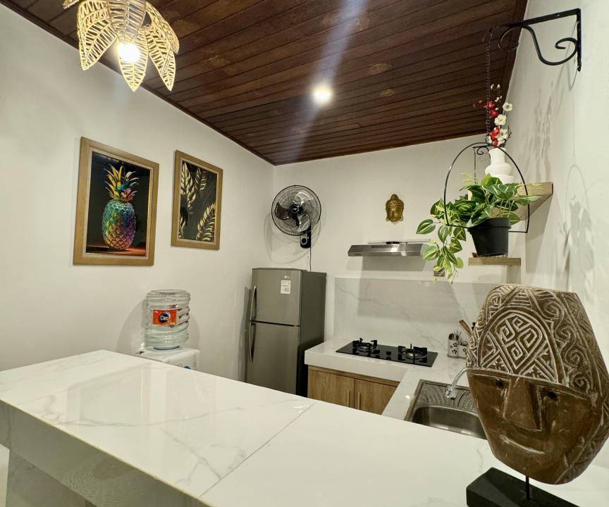 Photo of Kitchen in Munggu