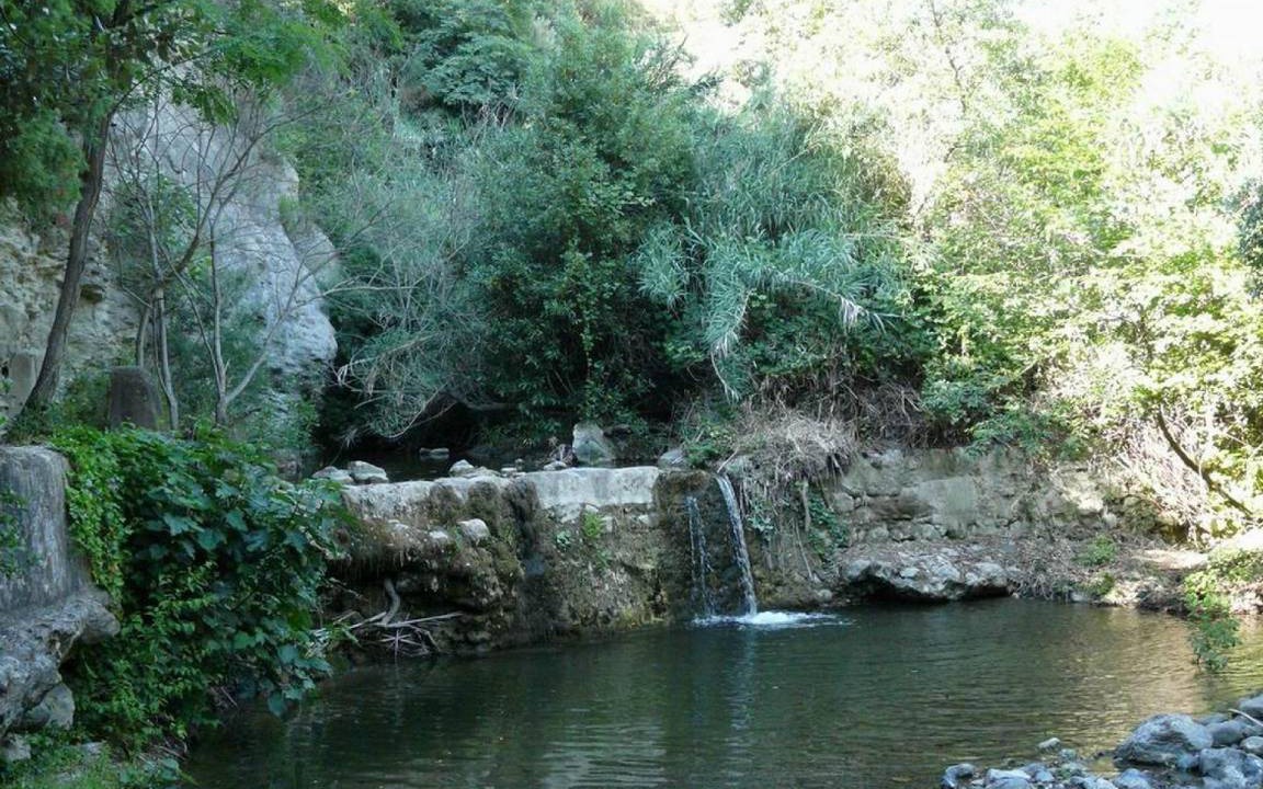 Photo of Others in Pomaia