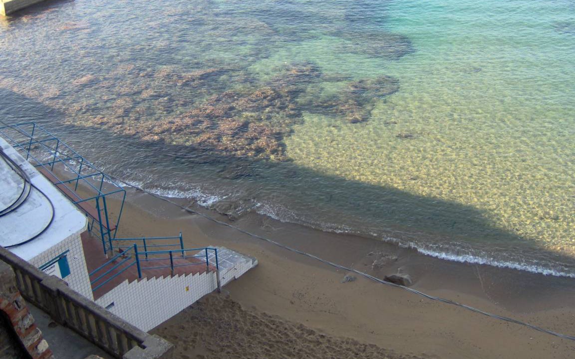 Photo of Others in Castiglioncello