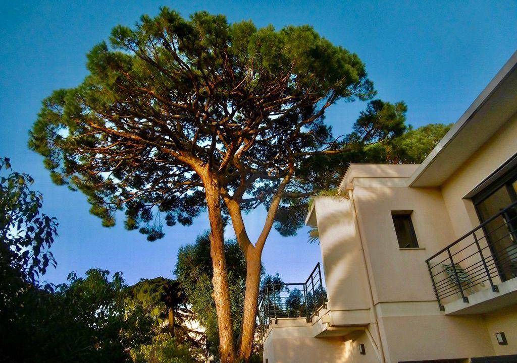 Photo of Others in Cannes