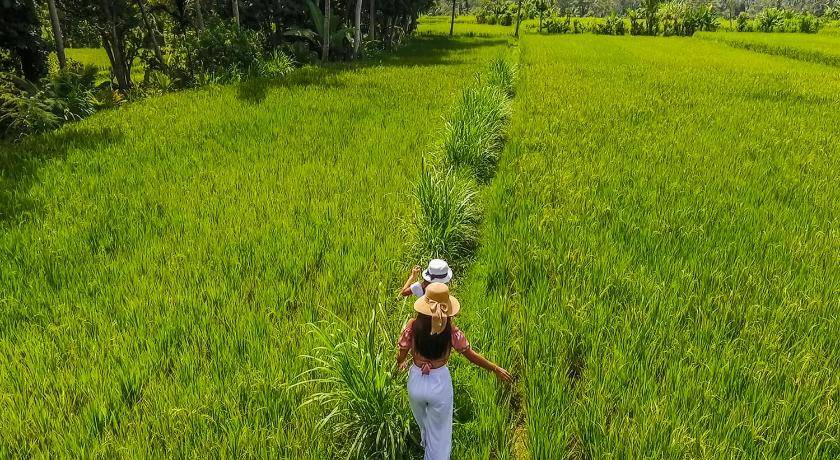 Photo of Others in Carangsari