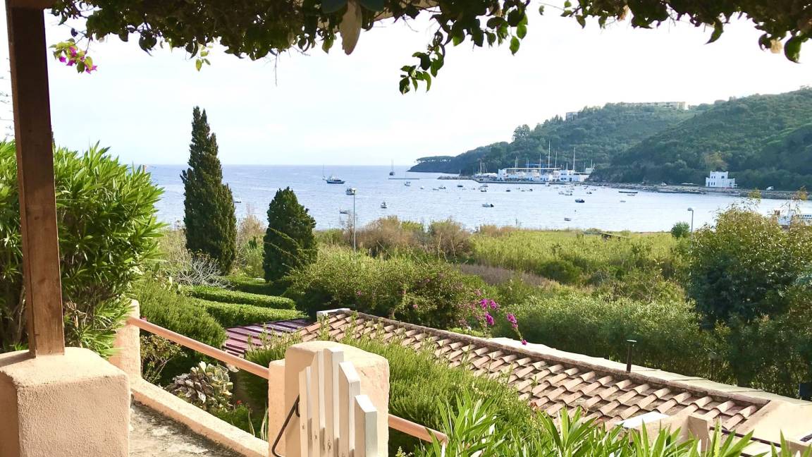 Photo of Others in Mola