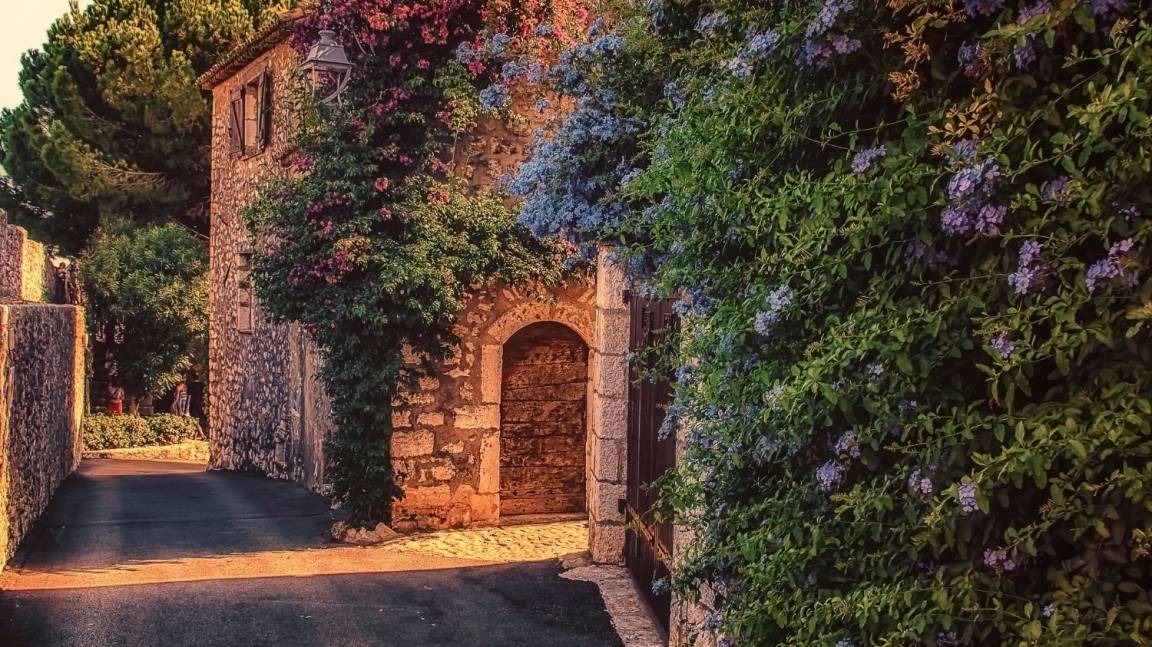 Photo of Others in Vence