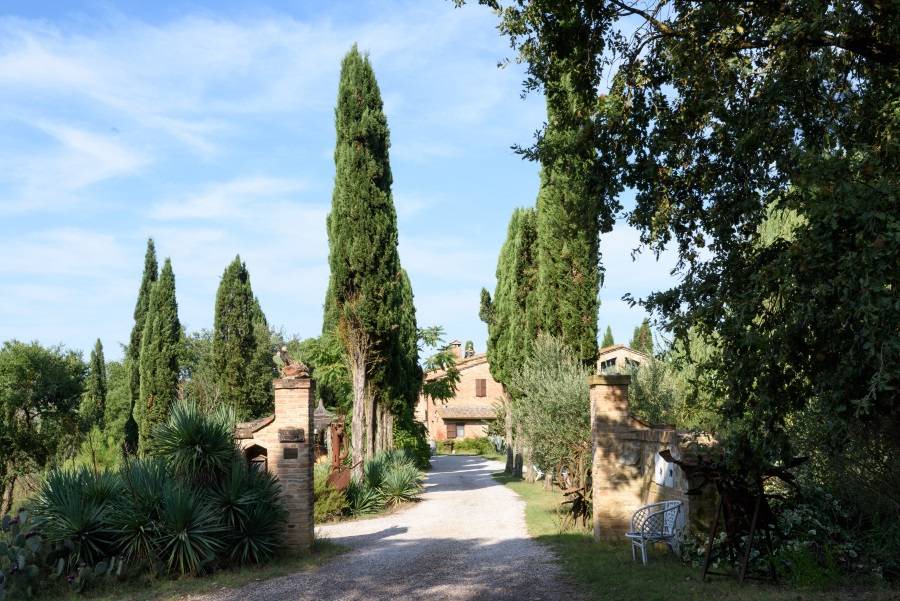 Photo of Others in Buonconvento