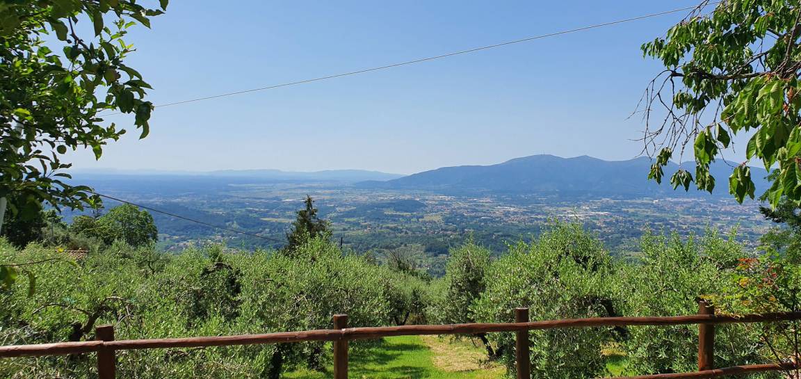 Photo of Others in Petrognano