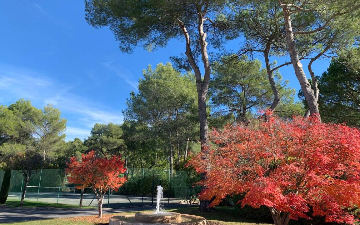 Photo of Others in Mougins