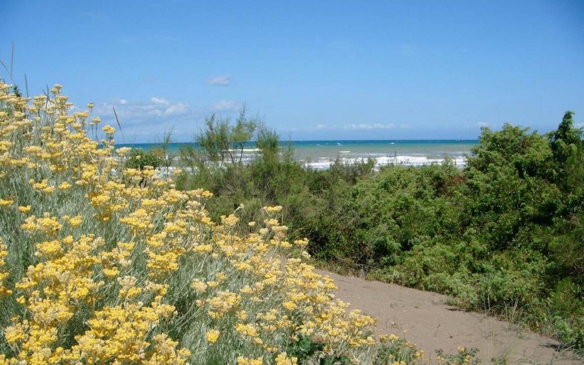 Photo of Others in Marina di Castagneto Carducci