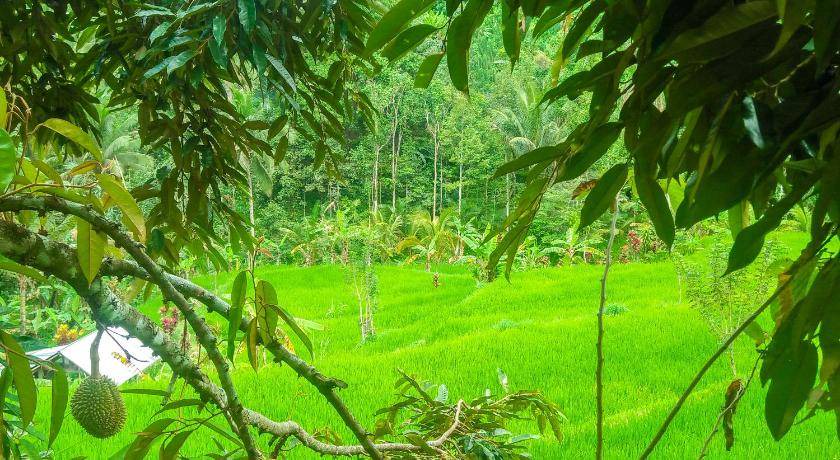 Photo of Outdoor in Sawan