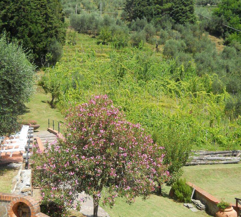Photo of Others in Petrognano
