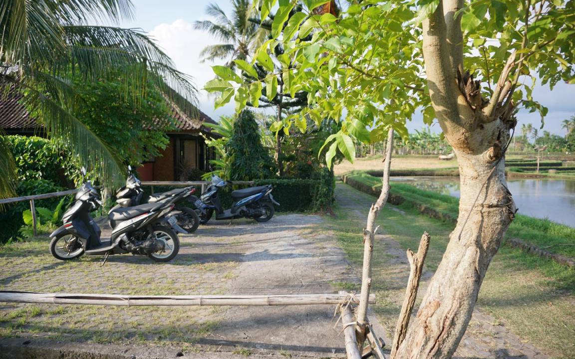 Photo of Others in Selemadeg