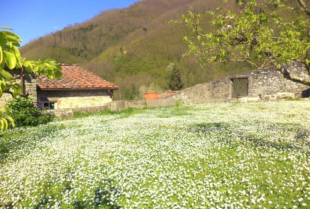 Photo of Others in Borgo a Mozzano