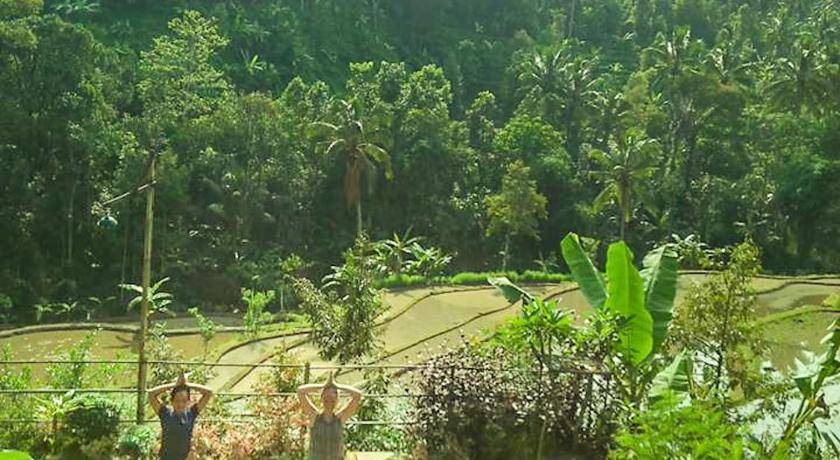 Photo of Outdoor in Sawan