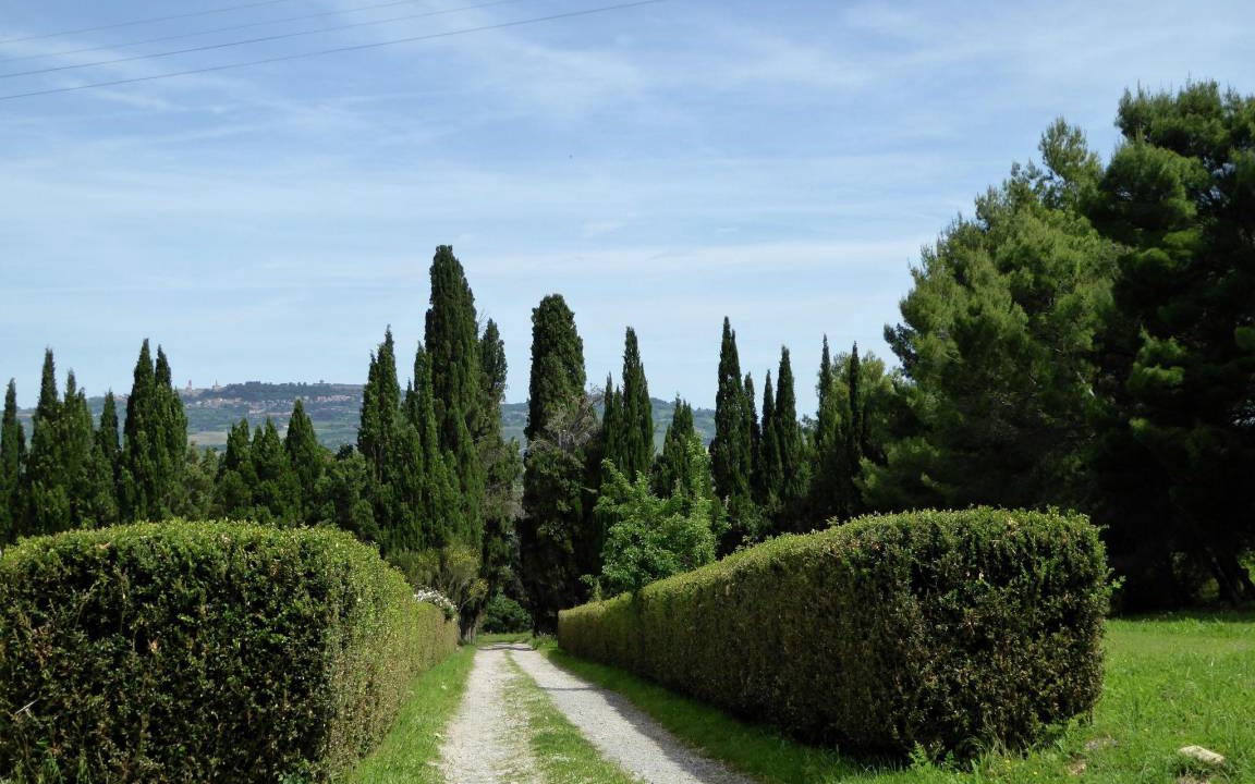 Photo of Others in Saline di Volterra