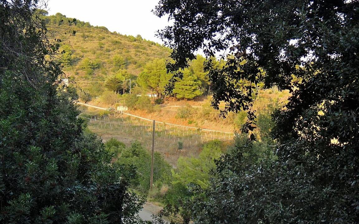 Photo of Others in Porto Azzurro