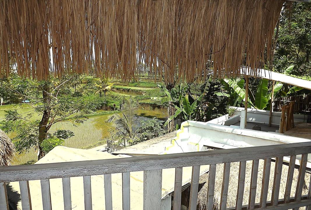 Photo of Others in Payangan