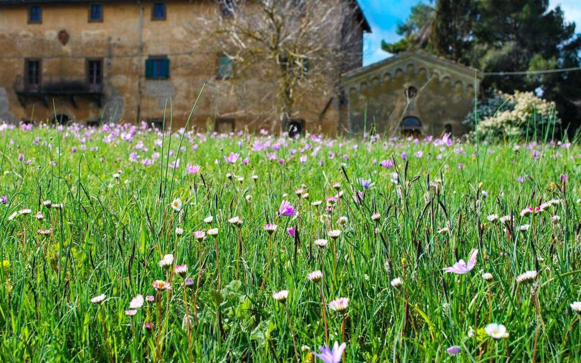 Photo of Others in Saline di Volterra