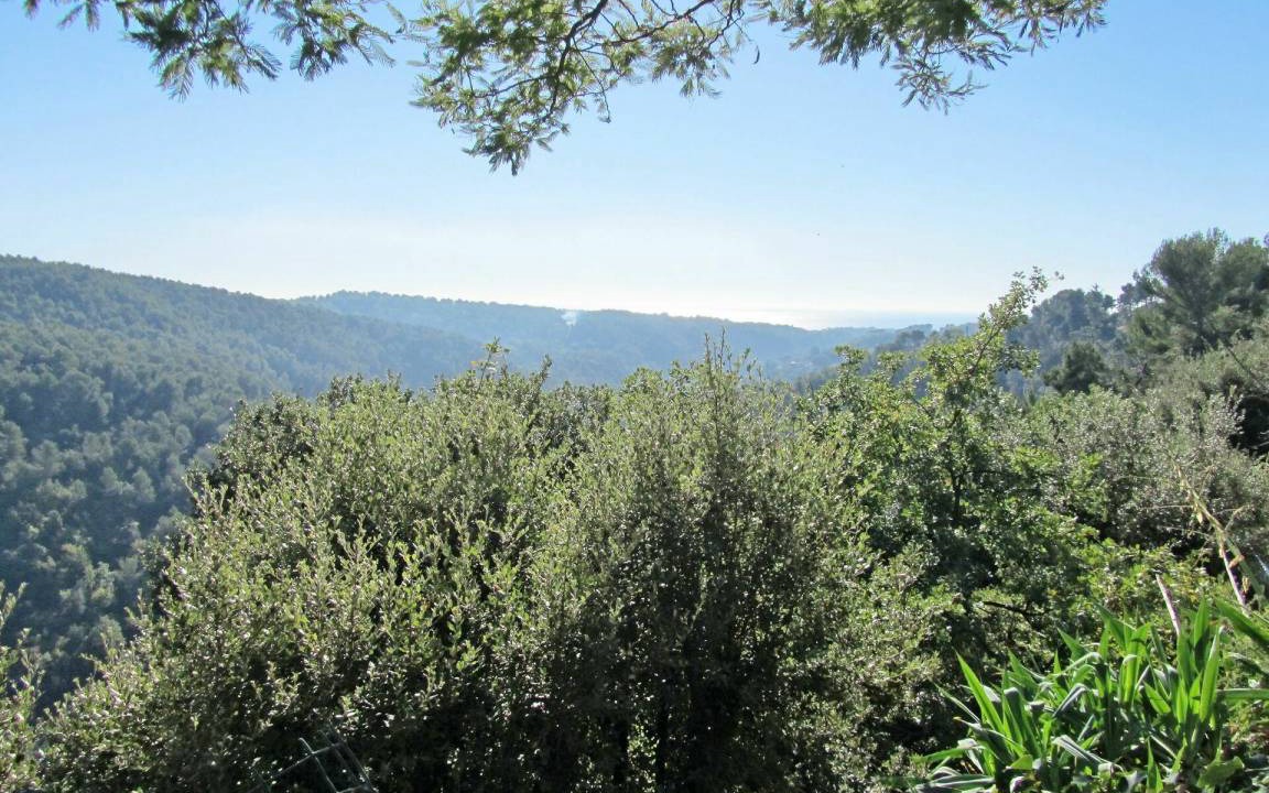 Photo of Others in Vence
