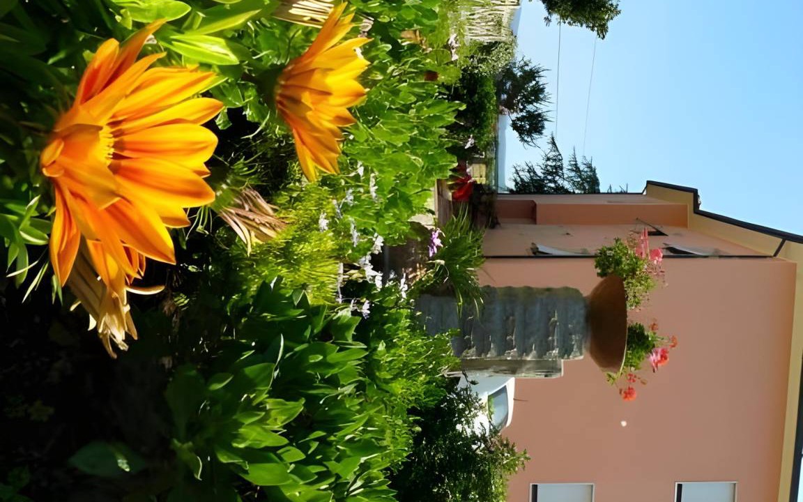 Photo of Others in Castagneto Carducci