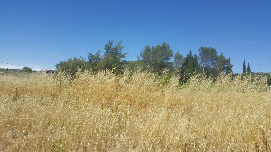 Photo of Others in Mougins