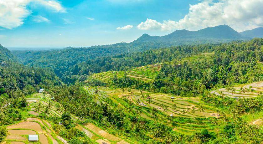 Photo of Outdoor in Sawan