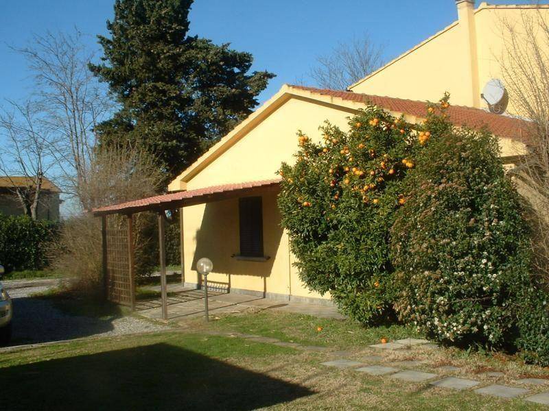 Photo of Others in Cecina