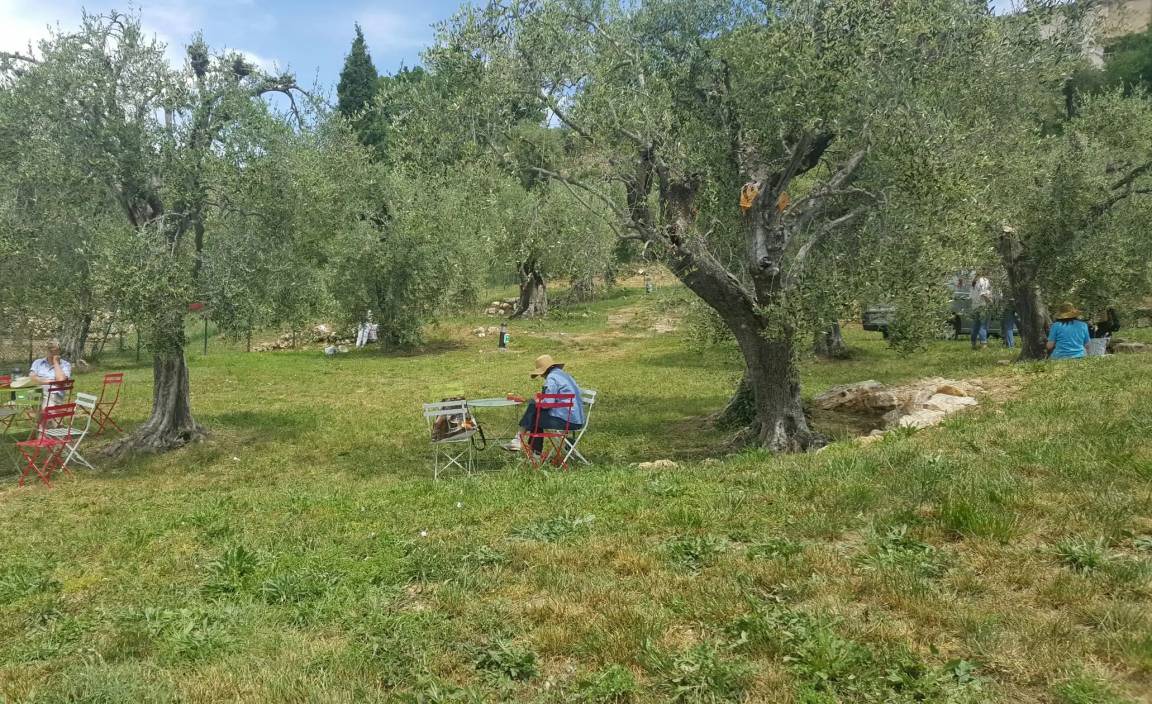 Photo of Others in Mougins
