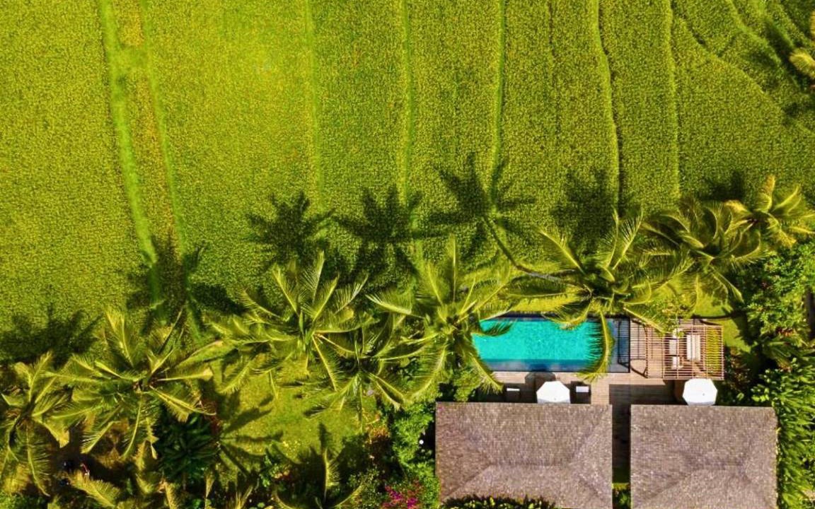 Photo of Others in Ubud City-Centre