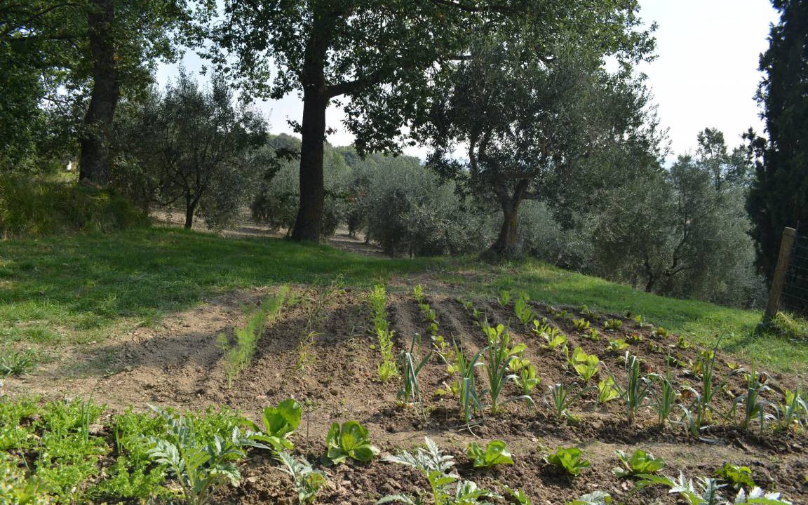 Photo of Others in Chianciano Terme