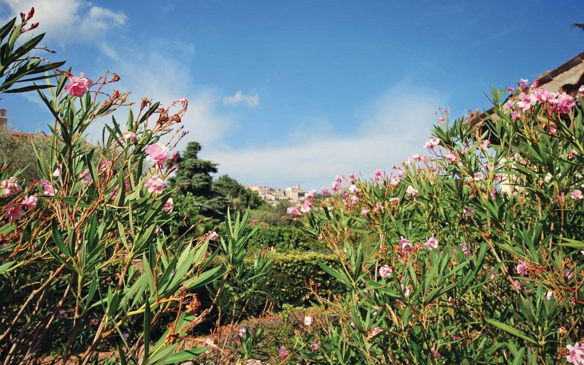 Photo of Others in Fayence