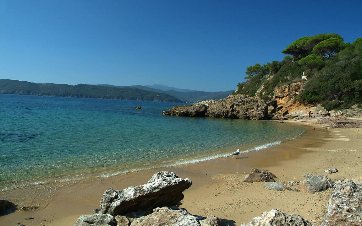 Photo of Others in Campo nell'Elba