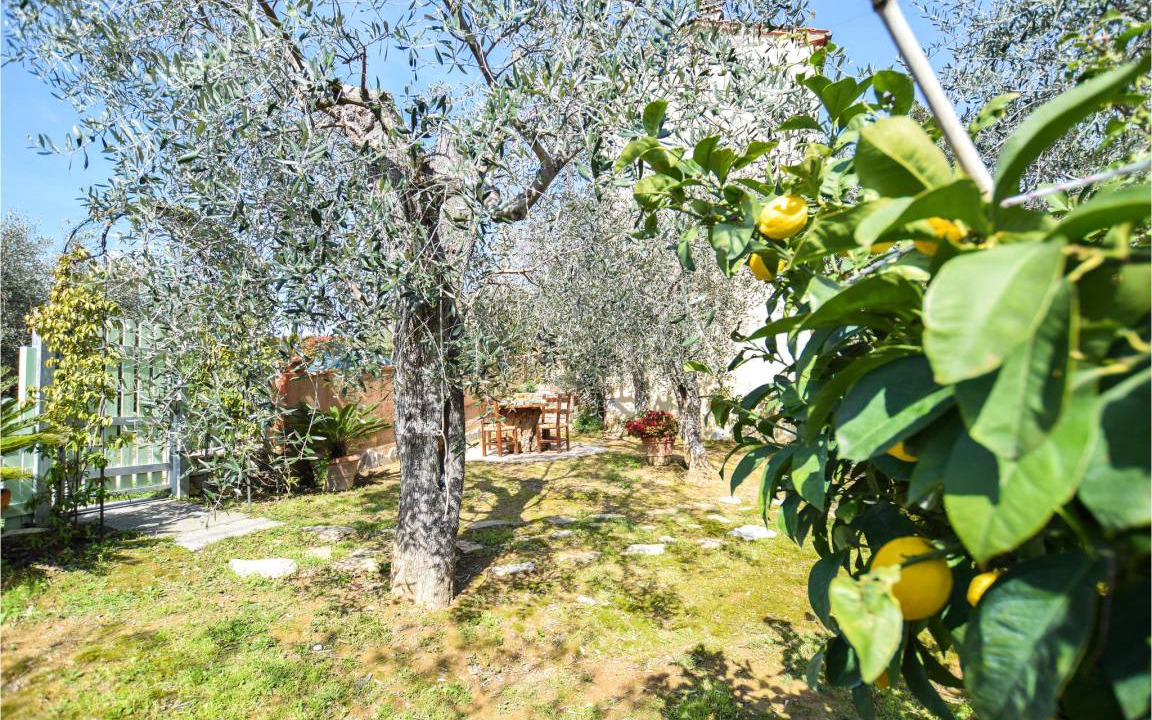 Photo of Others in Pieve a Elici