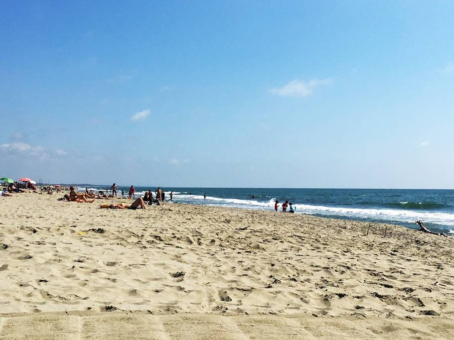 Photo of Others in Viareggio