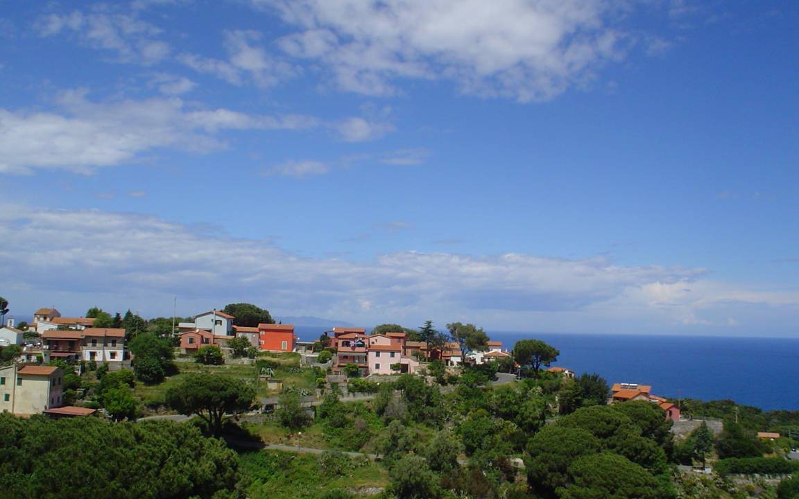 Photo of Others in Zanca