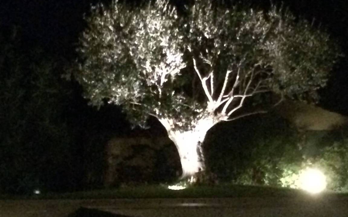 Photo of Others in Grimaud