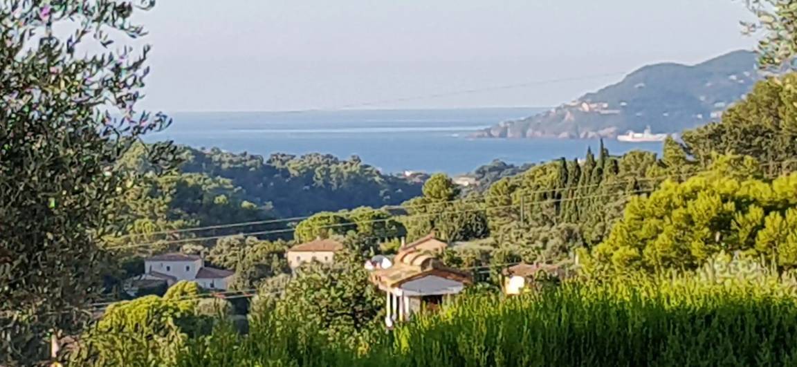 Photo of Others in Mougins