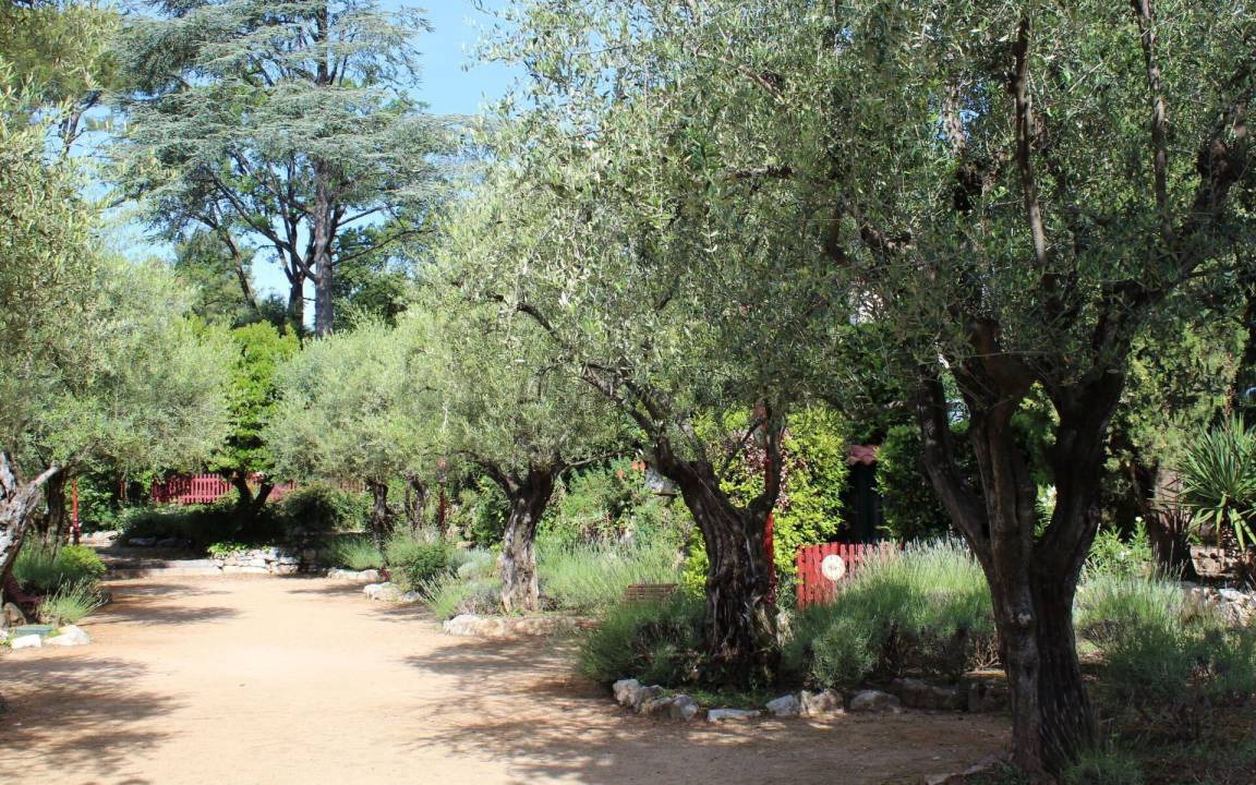 Photo of Others in Vence