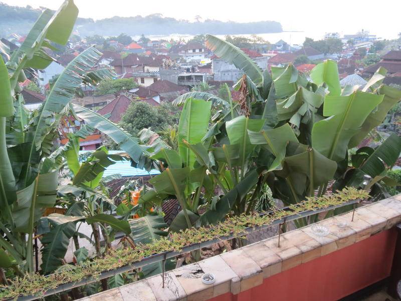 Photo of Others in Padangbai