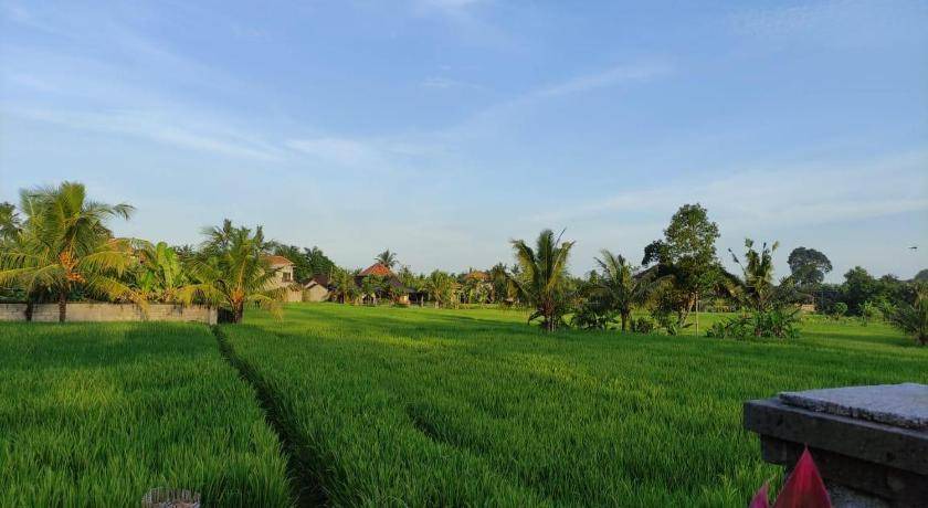 Photo of Others in Kedewatan