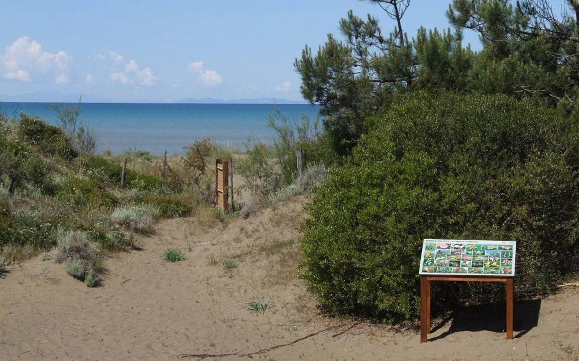Photo of Others in Marina di Castagneto Carducci