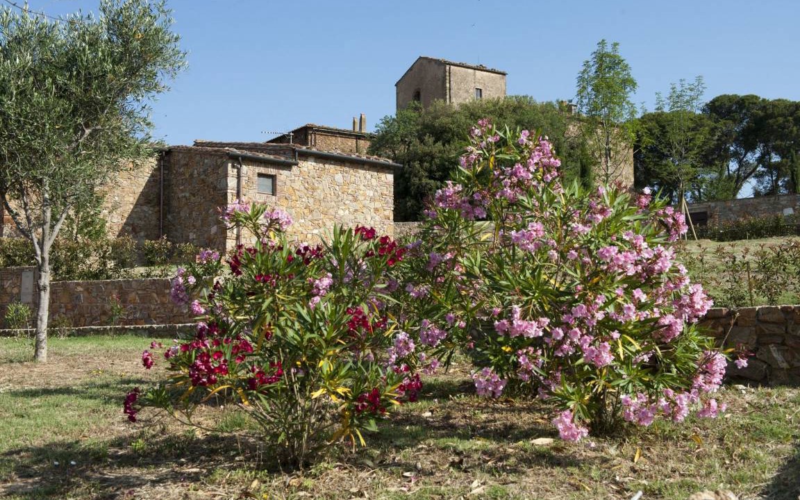 Photo of Others in Casalappi