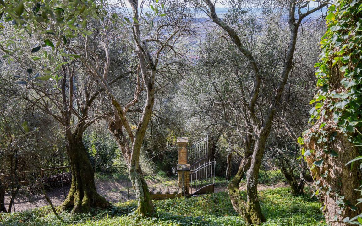 Photo of Others in Santa Lucia