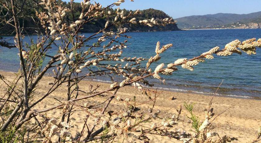 Photo of Others in Campo nell'Elba