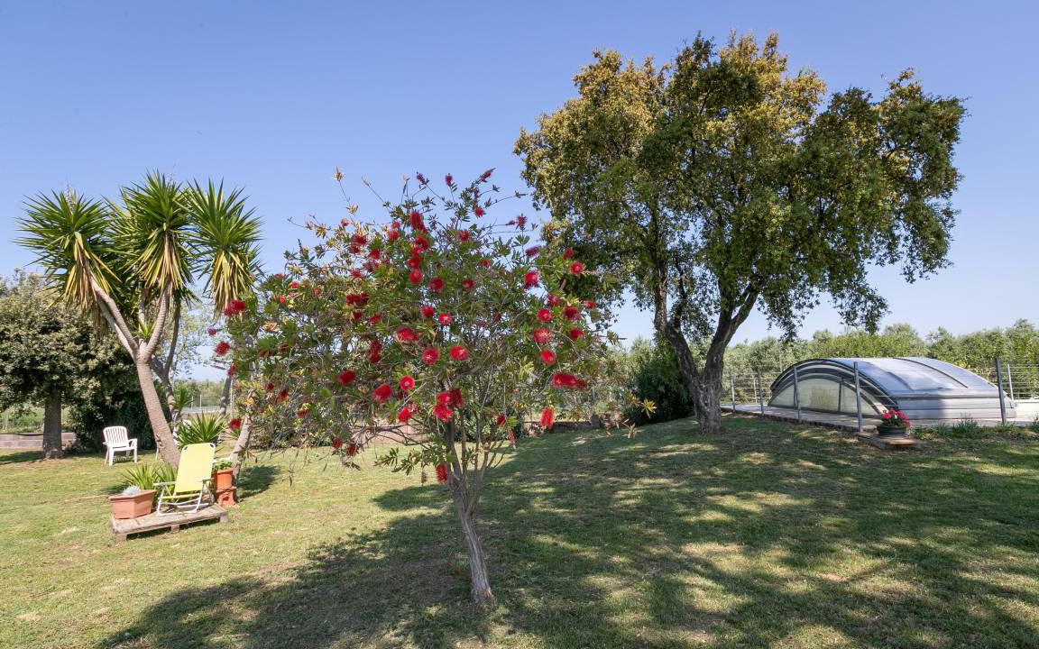 Photo of Outdoor in San Vincenzo