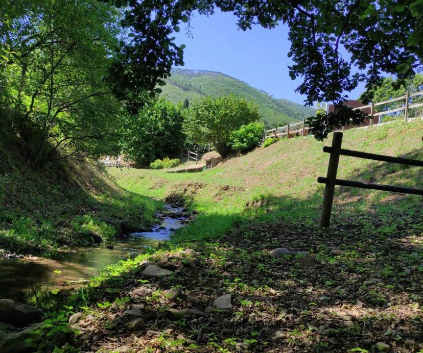 Photo of Others in SantʼAndrea di Compito