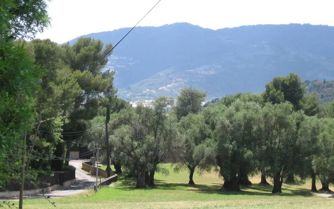 Photo of Others in Mougins