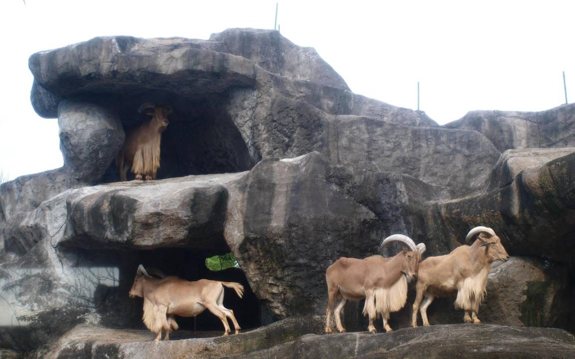 Photo of Others in Keramas
