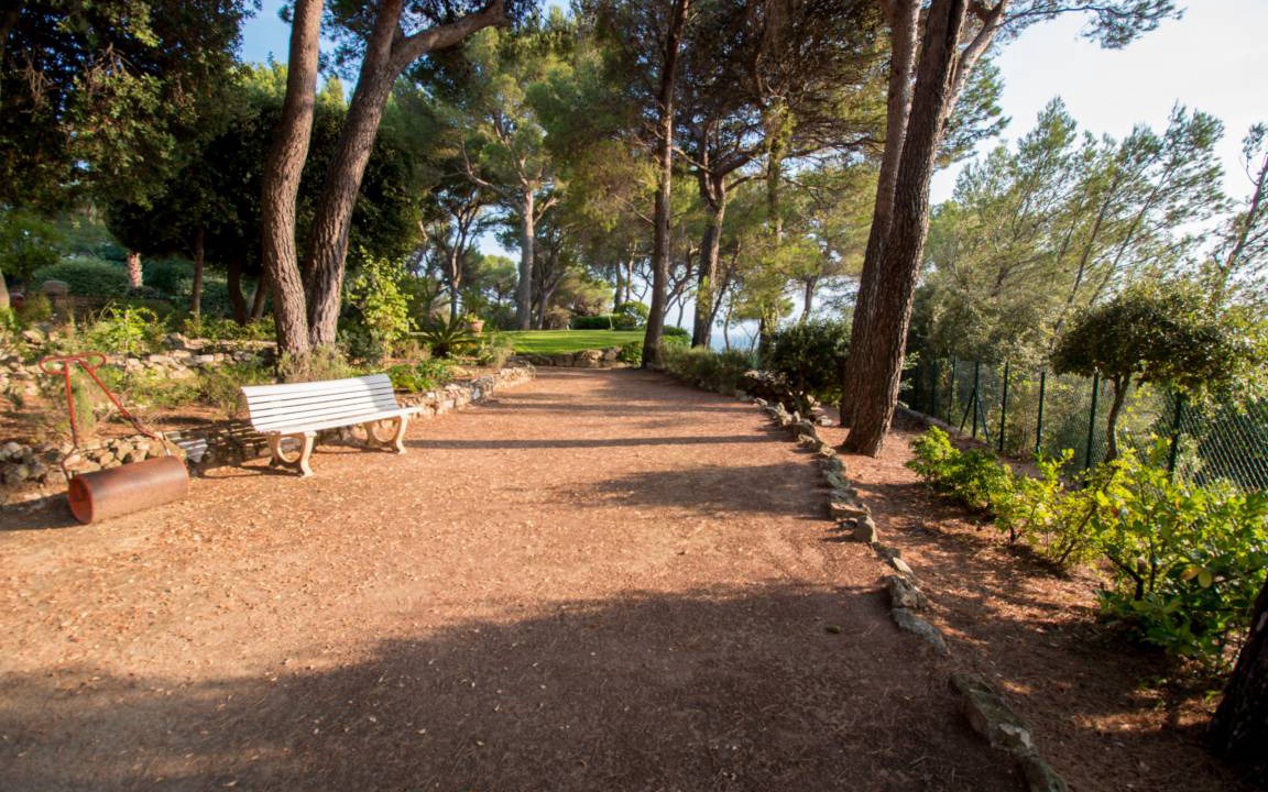 Photo of Others in Cannes