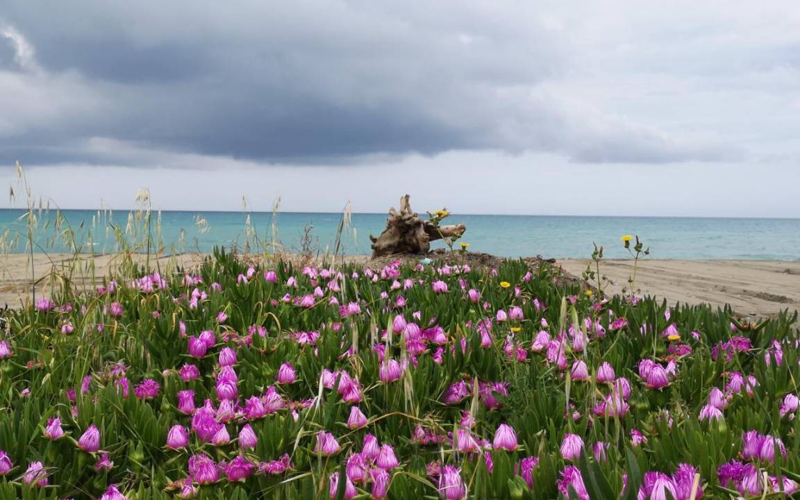 Photo of Others in Marina di Cecina