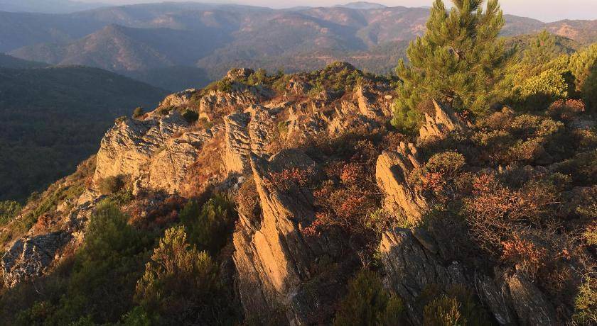 Photo of Others in La Garde-Freinet